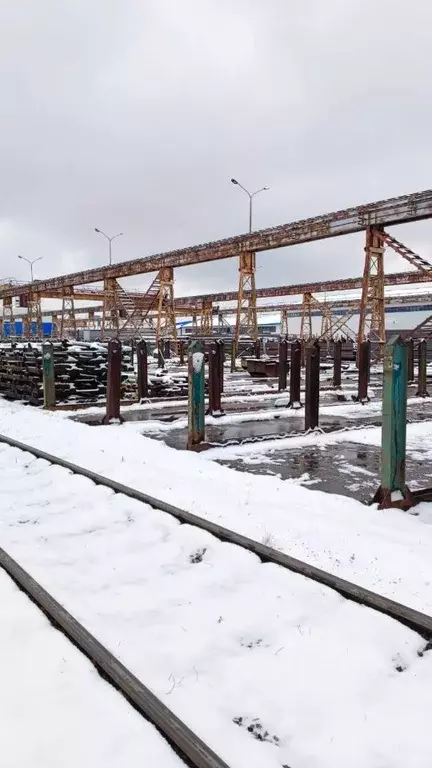 Склад в Новосибирская область, Новосибирск ул. Мира, 58 (2016 м) - Фото 1