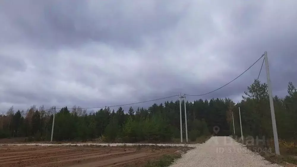 Участок в Владимирская область, Судогодский район, Вяткинское ... - Фото 1