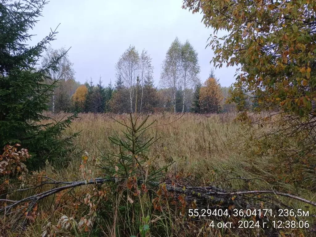 Участок в Московская область, Наро-Фоминский городской округ, д. ... - Фото 0