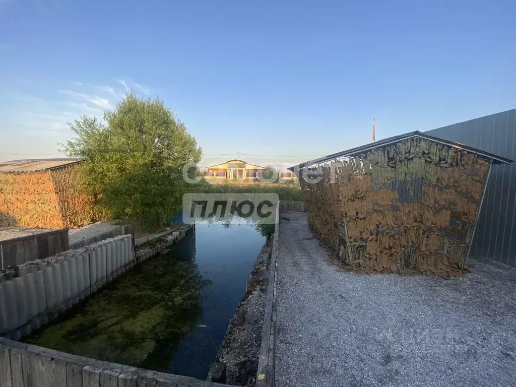 Дом в Краснодарский край, Приморско-Ахтарский муниципальный округ, ... - Фото 1