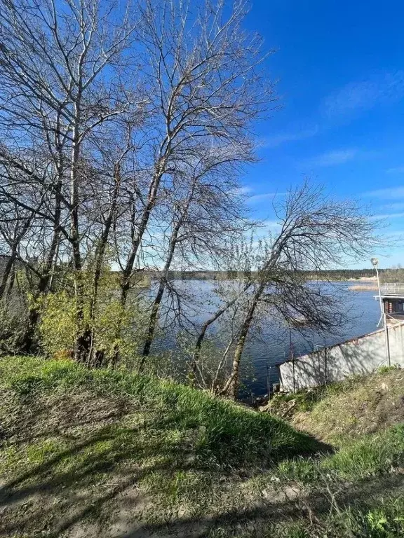 Дом в Белгородская область, Белгород Песчаная ул. (46 м) - Фото 0