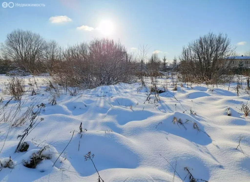 Участок в Талдомский городской округ, деревня Карманово, Центральная ... - Фото 2