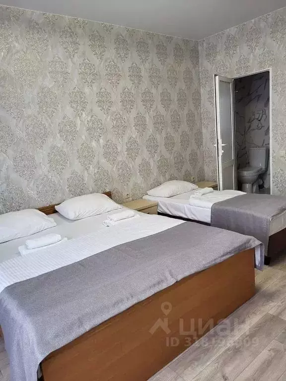 Комната Краснодарский край, Сочи Адлер жилрайон, ул. Павлика Морозова, ... - Фото 0