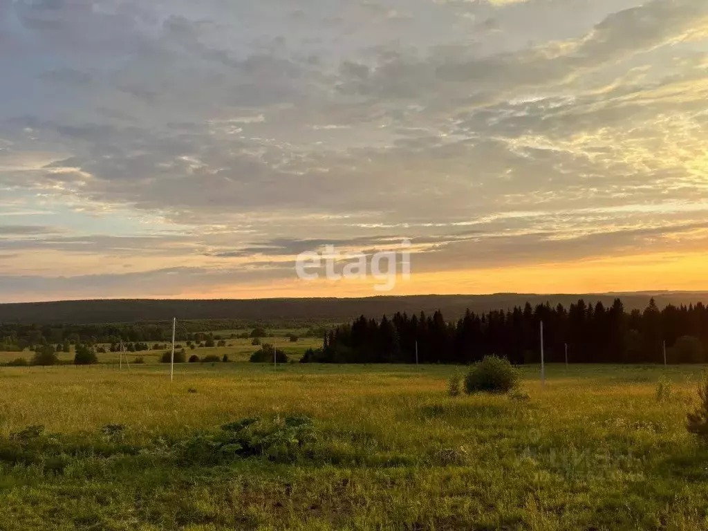 Участок в Пермский край, д. Большакино  (6.6 сот.) - Фото 0