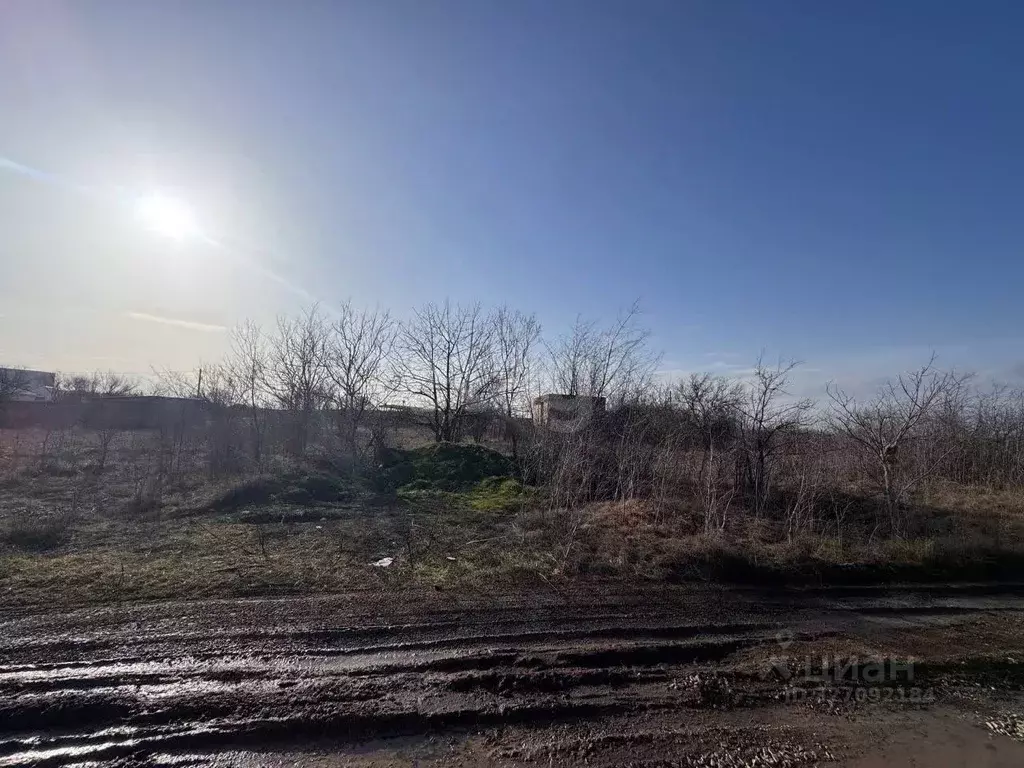 Участок в Крым, Симферопольский район, Трудовское с/пос, СНТ Медик ТСН ... - Фото 1