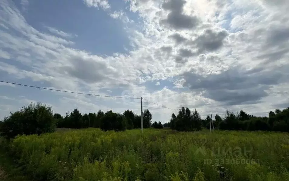 Участок в Московская область, Коломна городской округ, д. Чуркино  ... - Фото 1