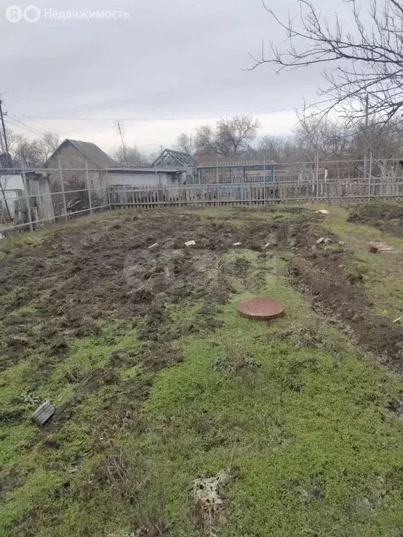 Участок в Новочеркасск, СТ № 23 (5.1 м) - Фото 2