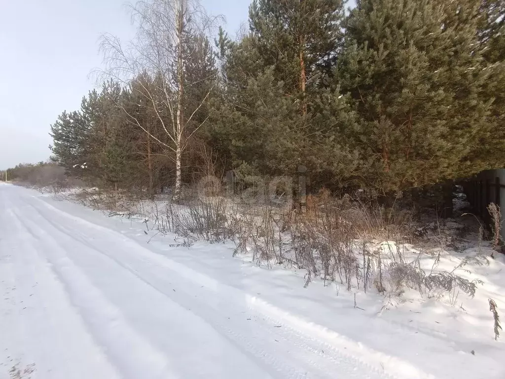 Участок в Нижегородская область, Богородский муниципальный округ, д. ... - Фото 2
