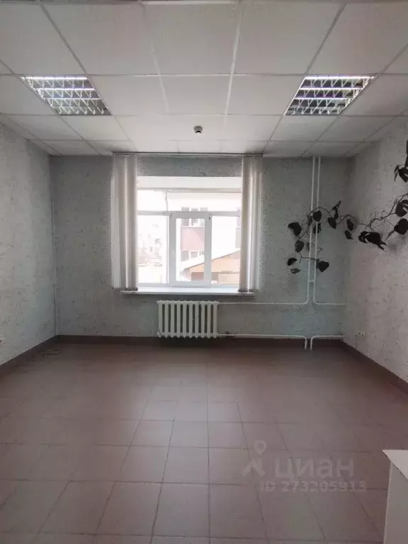 Офис в Алтайский край, Барнаул ул. Пушкина, 29 (15 м) - Фото 1
