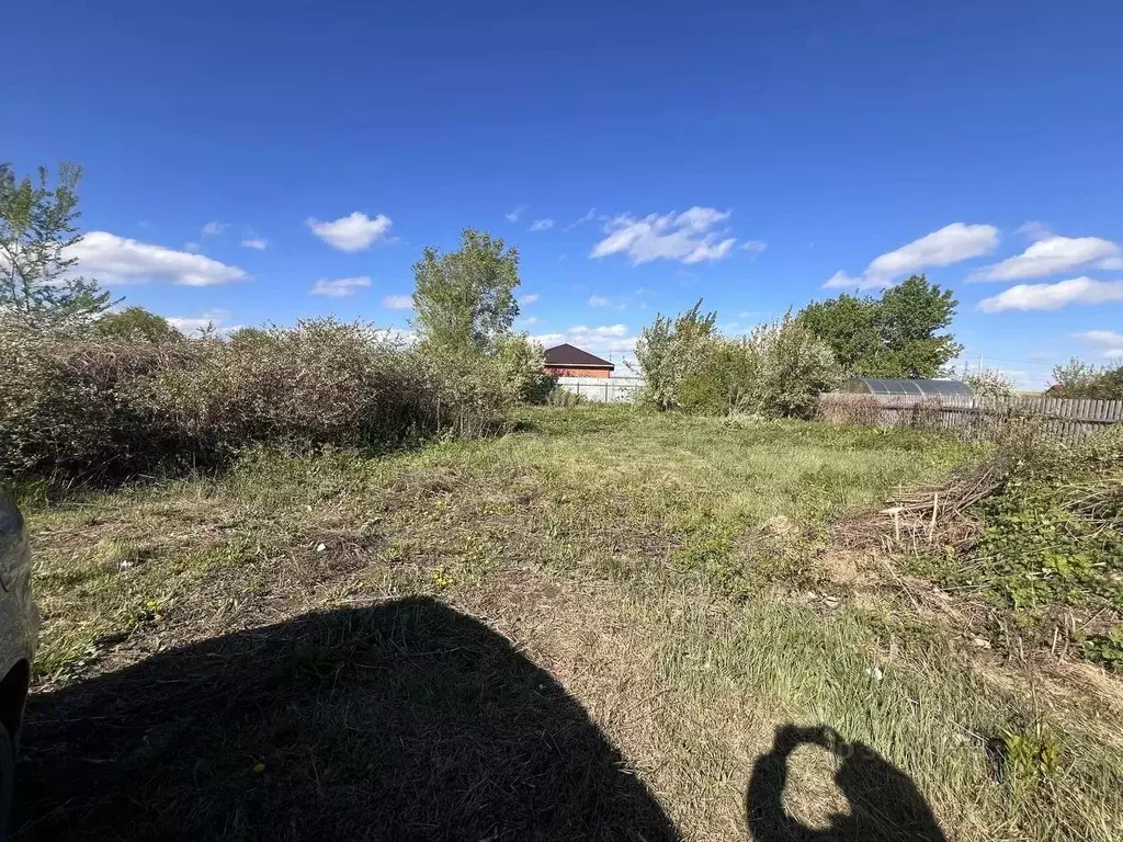 Участок в Омская область, Омск СНТ Ромашка ТСН, аллея 14-я, 28 (6.2 ... - Фото 2