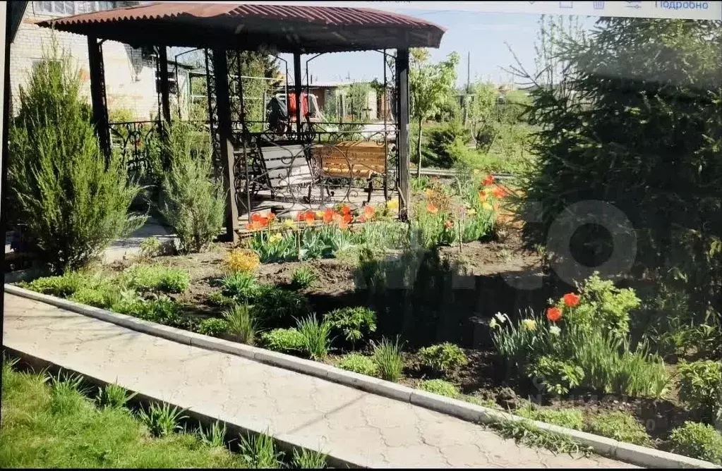 Участок в Саратовская область, Балашовский район, Большемеликское ... - Фото 1