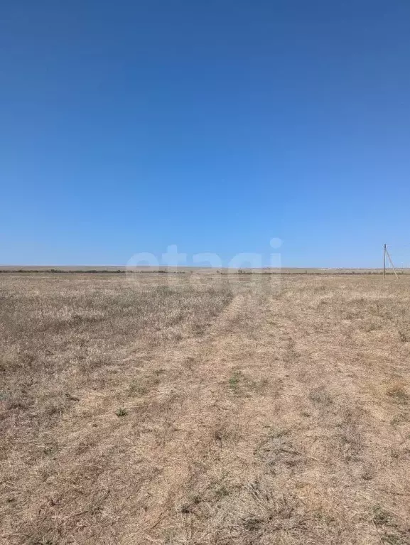 Участок в Крым, Черноморский район, с. Межводное  (100.0 сот.) - Фото 0