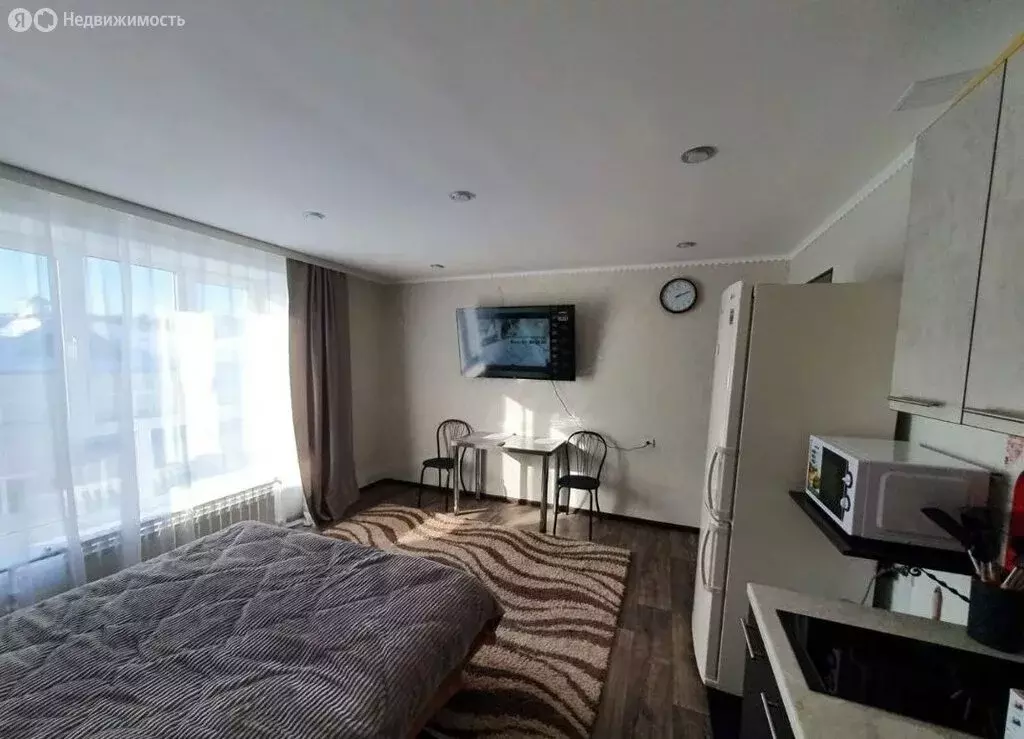 Квартира-студия: Свободный, Парниковая улица, 20 (23.8 м) - Фото 2