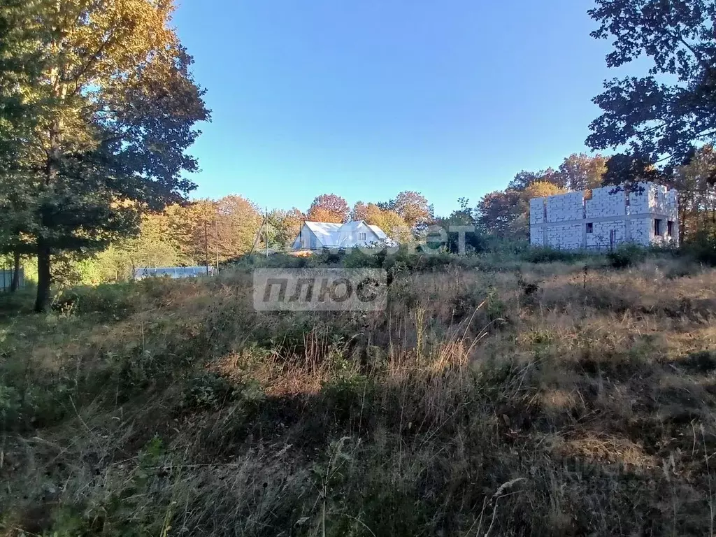 Участок в Краснодарский край, Туапсинский муниципальный округ, с. ... - Фото 1