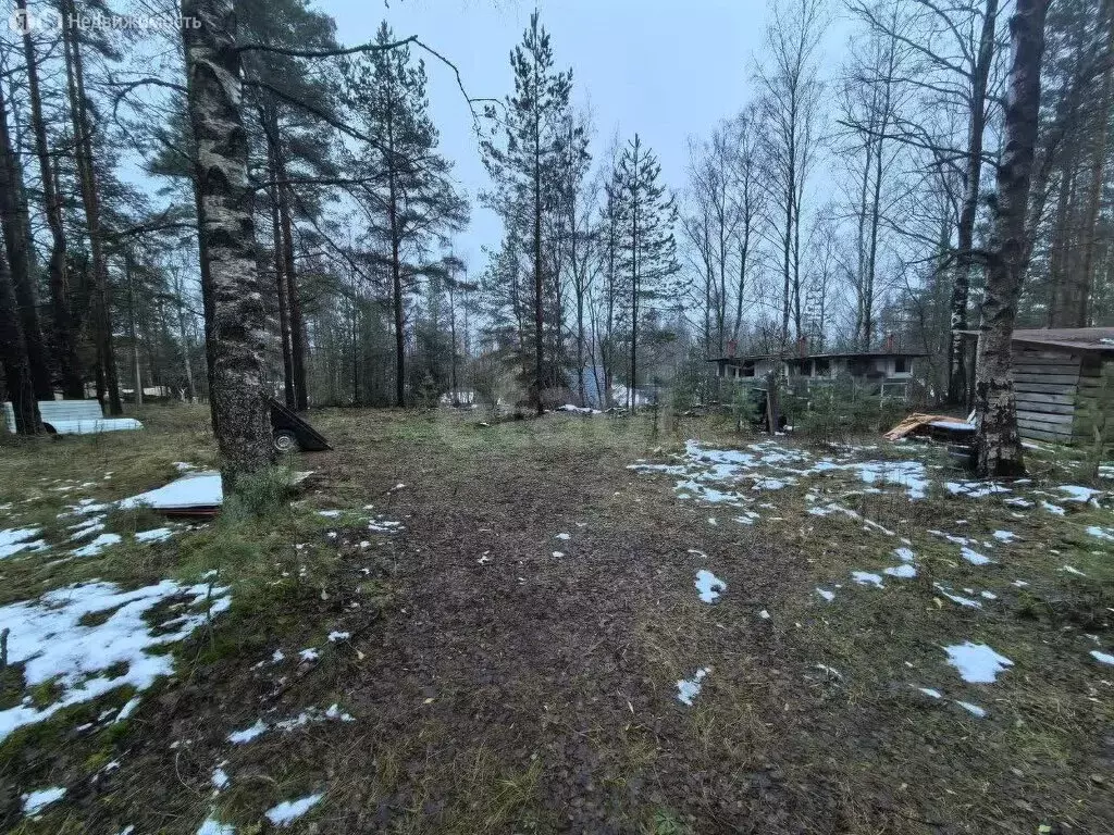 Участок в Парголово, Вересковая улица (17 м) - Фото 1