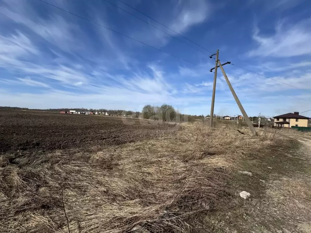 Участок в Смоленская область, Смоленск Рябиновая Поляна СТ,  (58.0 ... - Фото 1