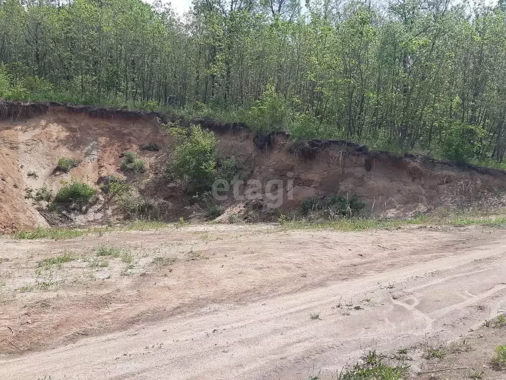 Участок в Амурская область, Константиновский район, с. Новотроицкое  ... - Фото 1