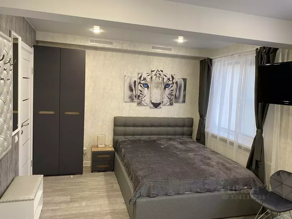 Студия Санкт-Петербург Таллинская ул., 22 (20.0 м) - Фото 2