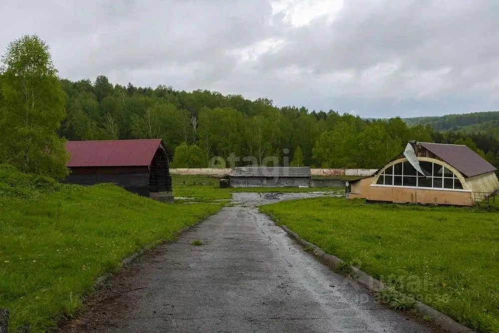 Коттедж в Кемеровская область, Новокузнецк Абашевское ш. (262 м) - Фото 1