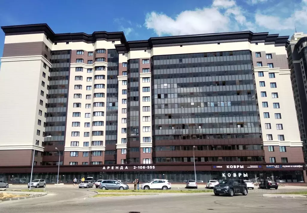 1-к кв. Воронежская область, Воронеж Московский просп., 128 (45.0 м) - Фото 0