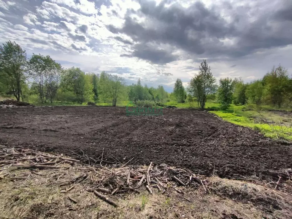 Участок в Тюменская область, Тобольск Красная пл. (14.0 сот.) - Фото 1