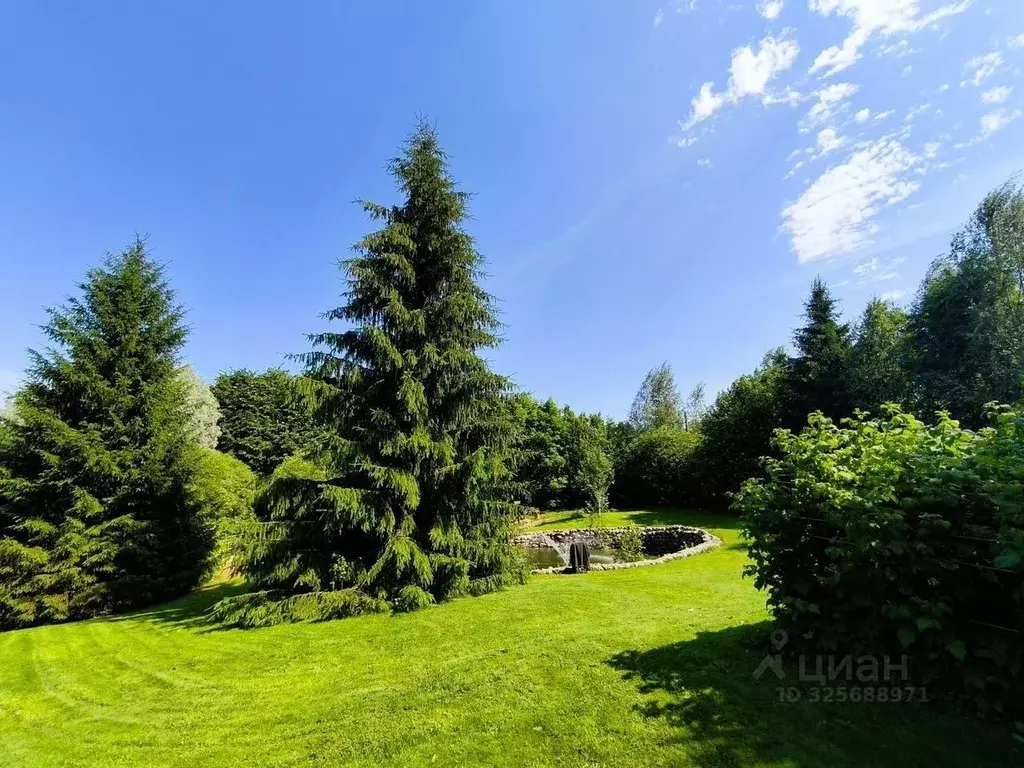 Участок в Ленинградская область, Выборгский район, Полянское с/пос, д. ... - Фото 2