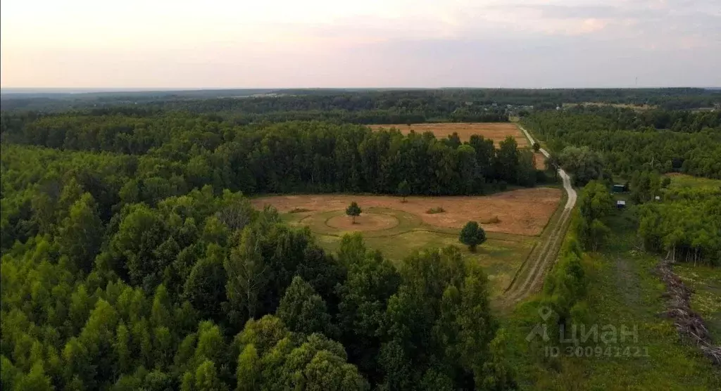 Участок в Тульская область, Заокский район, Страховское с/пос, д. ... - Фото 2