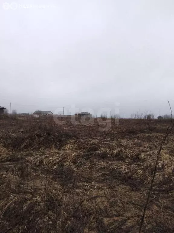 Участок в село Отрадное, КП Ново-Отрадное (8.18 м) - Фото 1