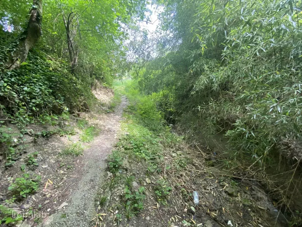 Участок в Краснодарский край, Геленджик муниципальное образование, с. ... - Фото 2