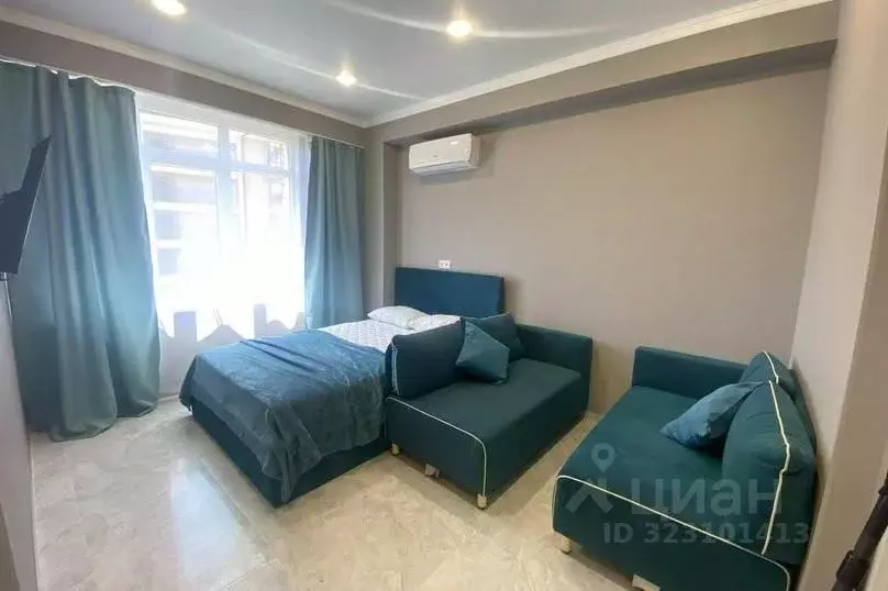 1-к кв. Краснодарский край, Сочи Донская ул., 108А (27.0 м) - Фото 2