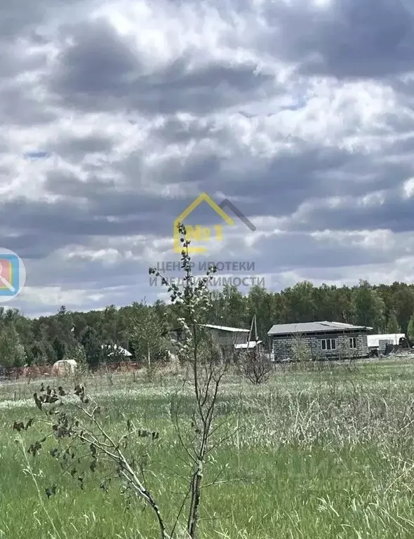 Участок в Челябинская область, Красноармейский муниципальный округ, ... - Фото 1