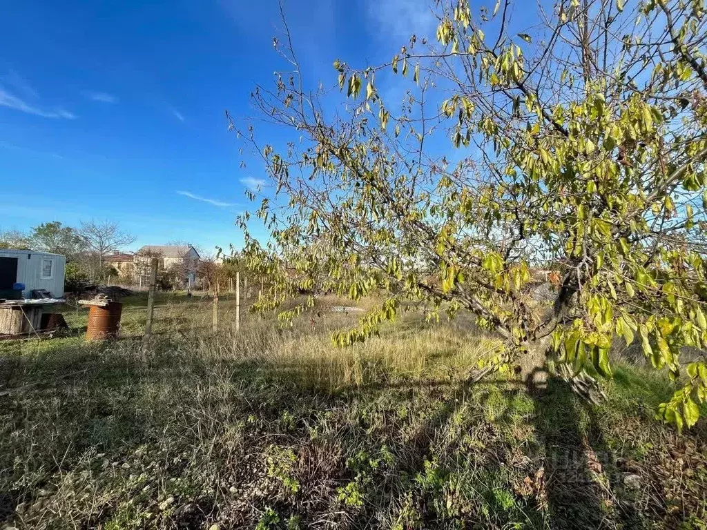 Участок в Крым, Симферопольский район, Молодежное пгт, Аграрник СНТ ... - Фото 1
