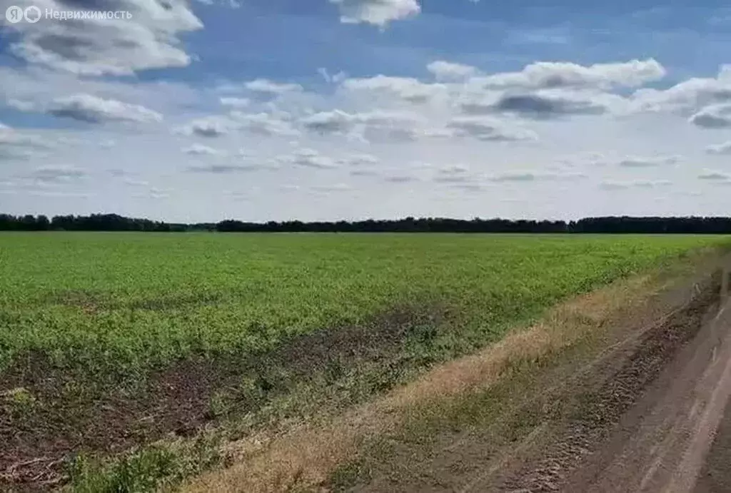 Участок в Башковское сельское поселение, деревня Ломаева (10 м) - Фото 0