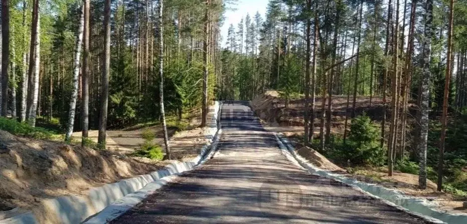 Участок в Ленинградская область, Всеволожский район, Куйвозовское ... - Фото 2