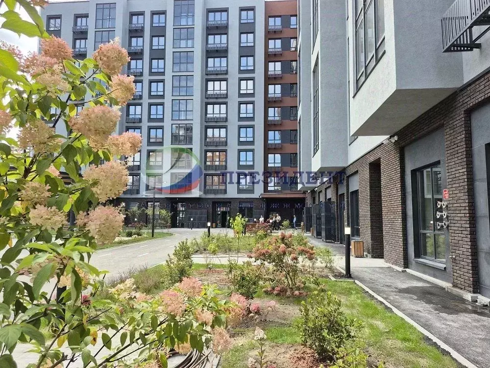 2-к кв. Нижегородская область, Нижний Новгород ул. Белинского, 23 ... - Фото 2