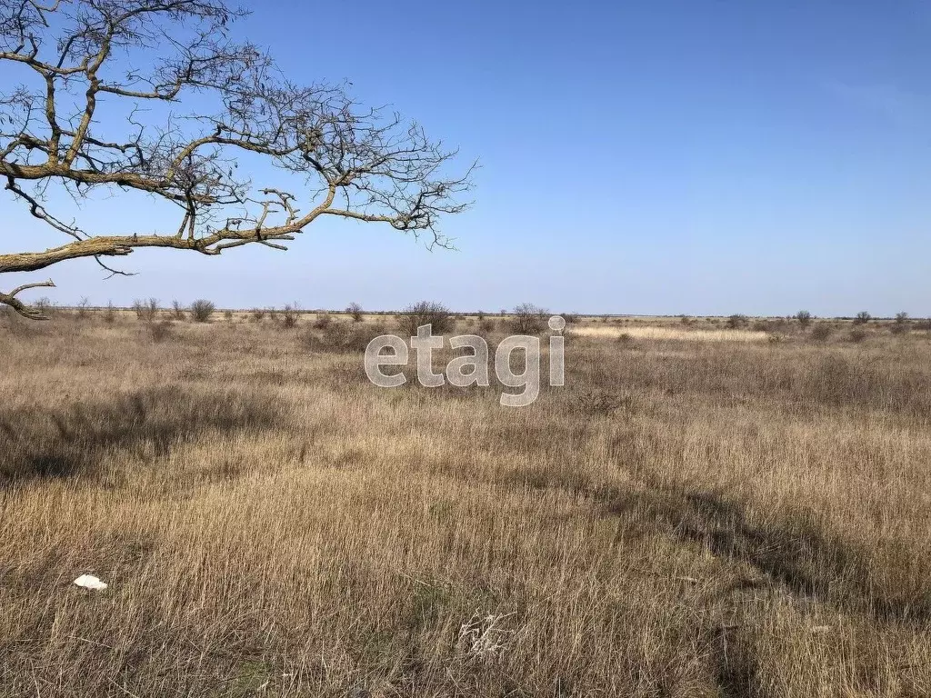 Участок в Крым, Сакский район, с. Ивановка  (320.0 сот.) - Фото 1