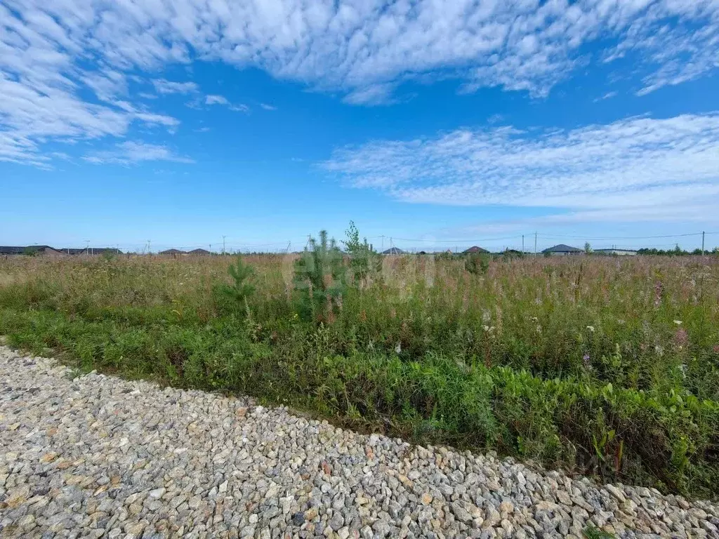 Участок в Тюменская область, Тюменский муниципальный округ, д. Елань ... - Фото 1