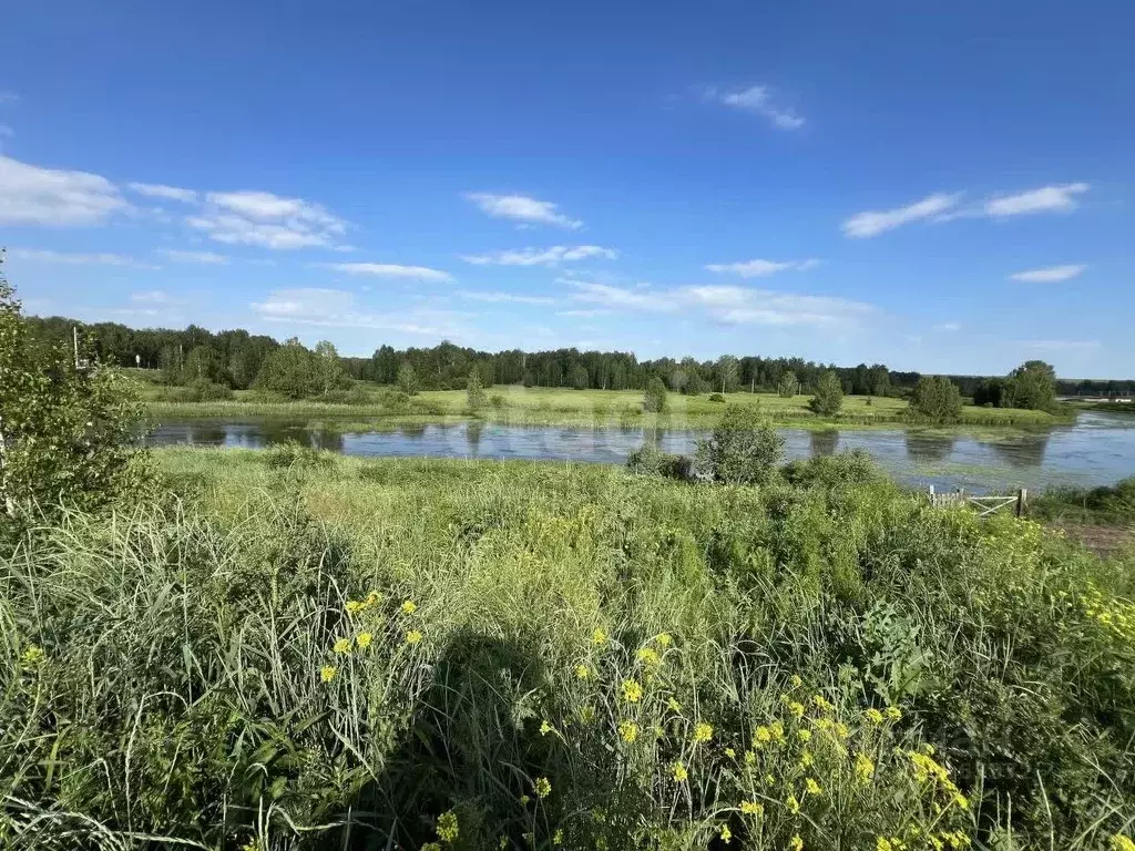 Участок в Челябинская область, Сосновский муниципальный округ, с. ... - Фото 1