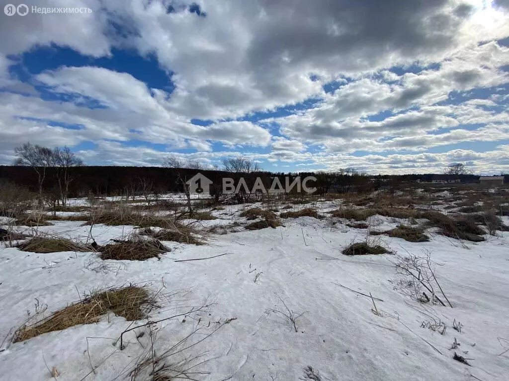 Участок в село Соловьёвка (10 м) - Фото 0