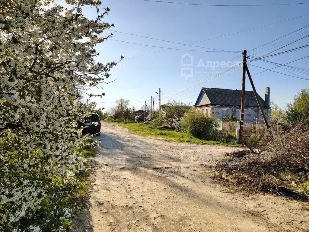 Участок в Волгоградская область, Волгоград ул. Зевина (4.98 сот.) - Фото 1