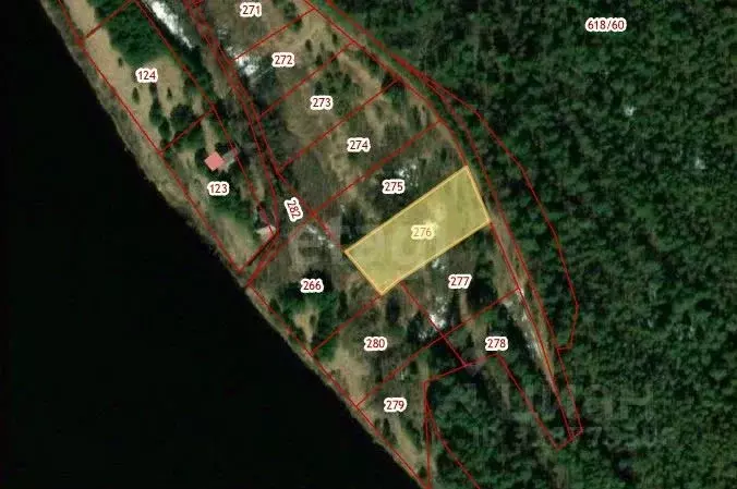 Участок в Вологодская область, Устюженский район, д. Глины  (24.94 ... - Фото 1