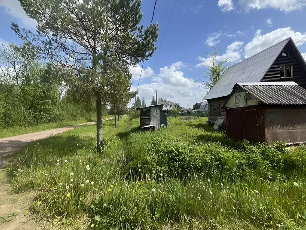 Участок в Ленинградская область, Гатчинский район, Новинка ... - Фото 2