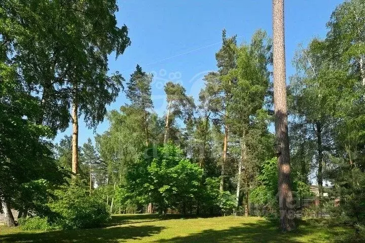 Участок в Московская область, Красногорск городской округ, пос. ... - Фото 2