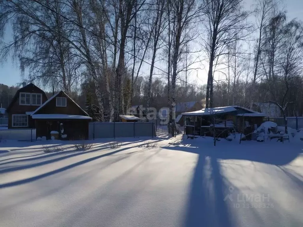 Участок в Новосибирская область, Новосибирск Приморский садовое ... - Фото 1