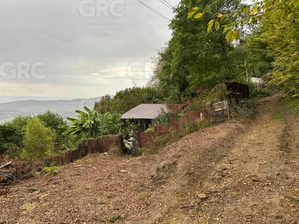 Участок в Краснодарский край, Сочи городской округ, с. ... - Фото 1