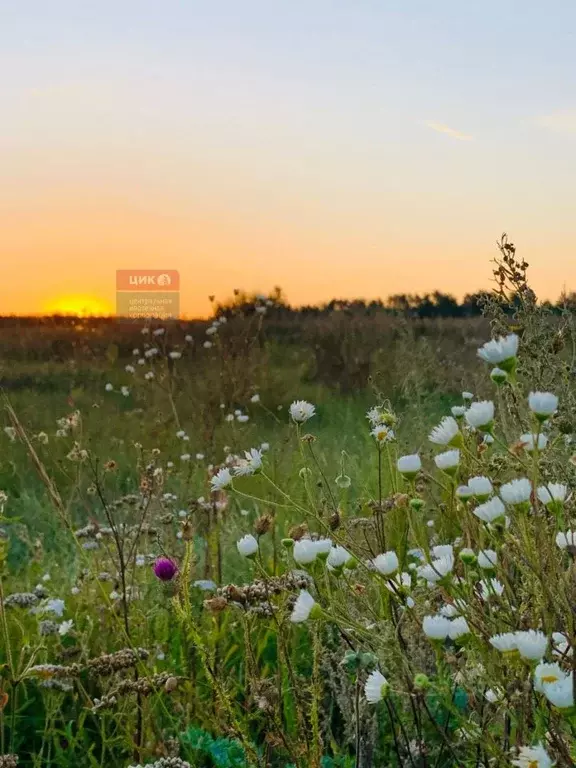 Участок в Рязанская область, Рязанский муниципальный округ, д. ... - Фото 2