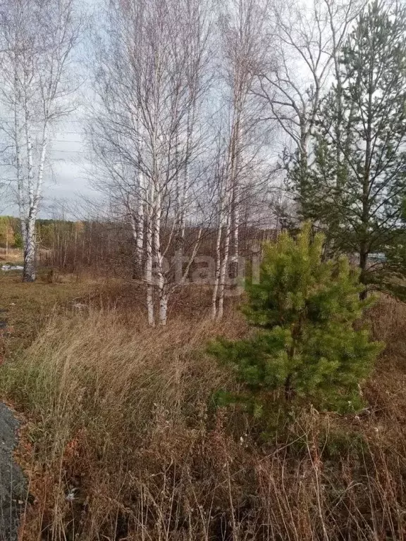 Участок в Свердловская область, Горноуральский муниципальный округ, д. ... - Фото 1