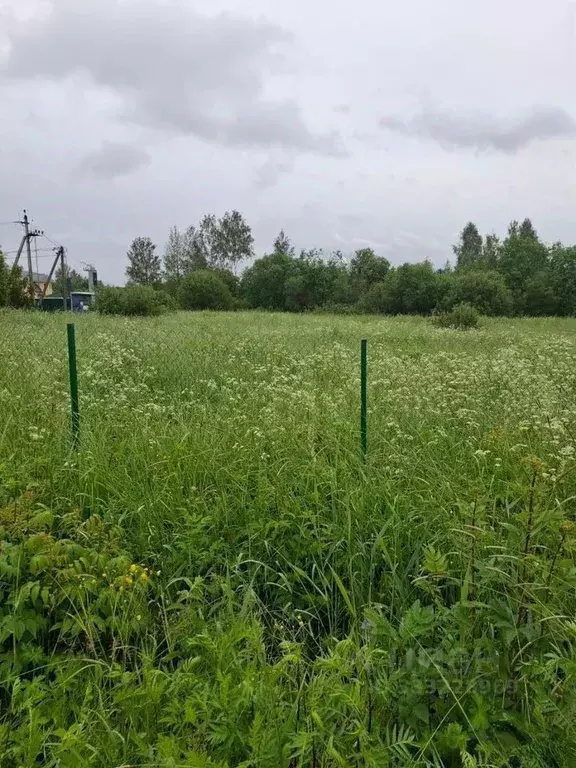 Участок в Ленинградская область, Кировский район, Мгинское городское ... - Фото 1