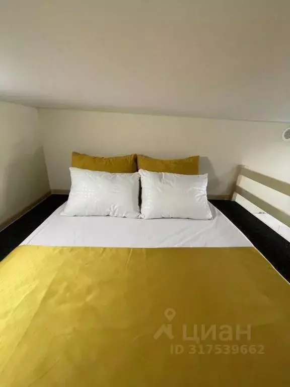 1-к кв. Санкт-Петербург ул. Блохина, 1/75 (15.0 м) - Фото 0