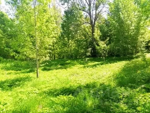 Участок в Московская область, Чехов муниципальный округ, д. ... - Фото 1